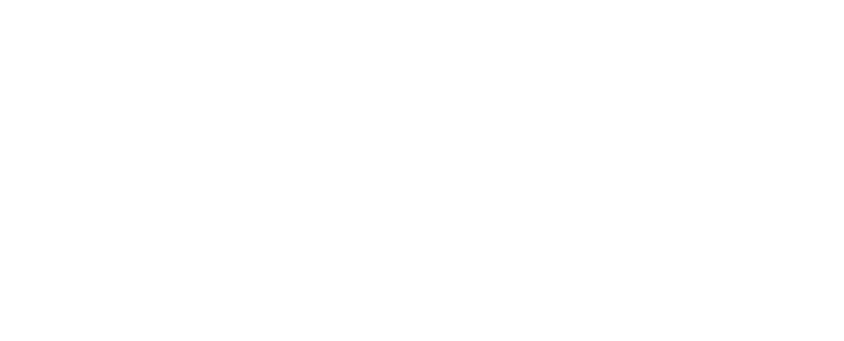 Optika 768x311 1